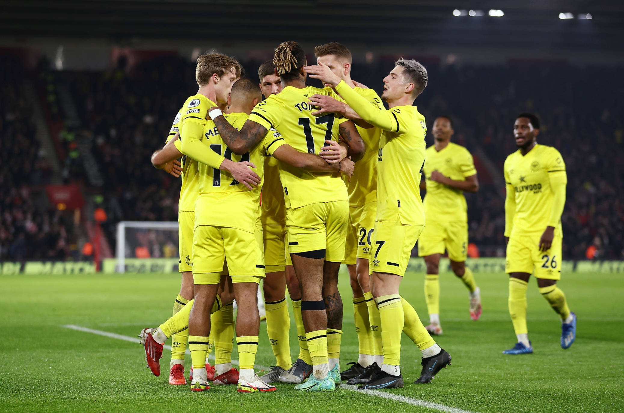 的职业生涯 的职业生涯